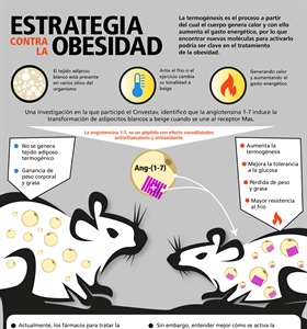 Estrategia contra la obesidad