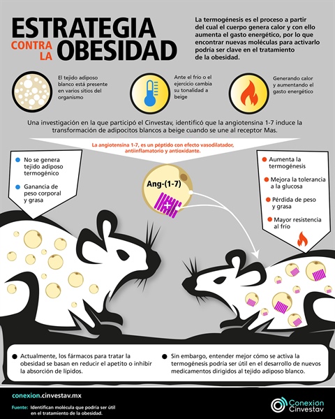Estrategia contra la obesidad