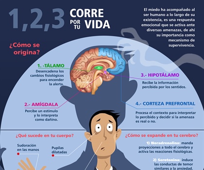 1, 2, 3, corre por tu vida