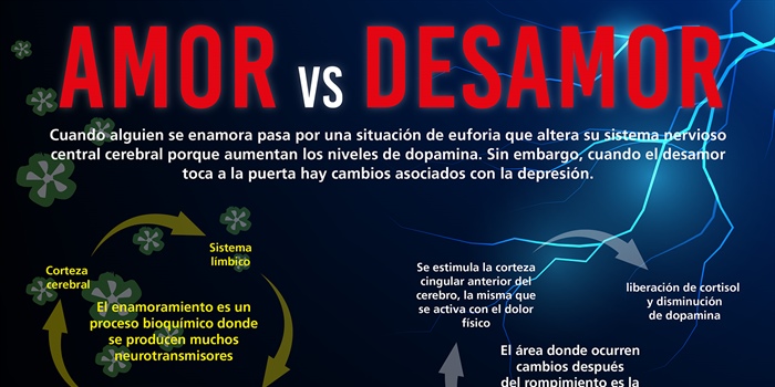 Amor vs desamor