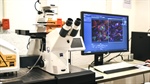 Microscopía confocal.
