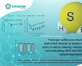 Hydrogen sulfide prevents the vascular dysfunction induced by severe traumatic brain injury in rats by reducing reactive oxygen species and modulating eNOS and H2S-synthesizing enzyme expression.