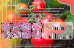Guadalupe Bravo - Lipidic extract of whole tomato reduces hyperplasia, oxidative stress and infammation on testosterone‑induced BPH in obese rats.