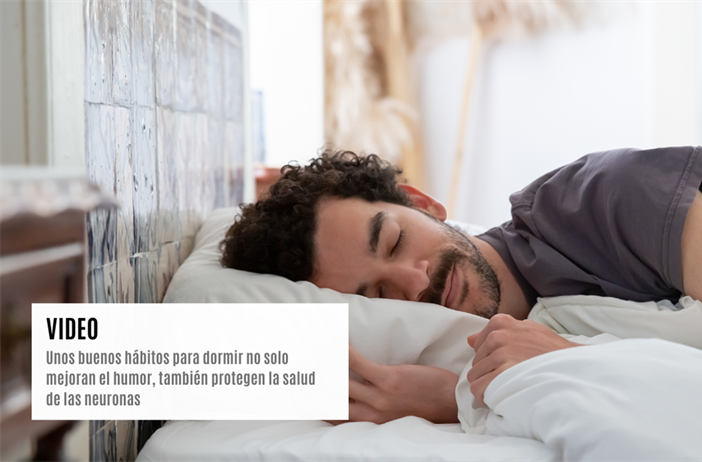 Nuevas investigaciones sobre el sueño y las neuronas