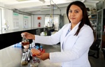 Emplean cempasúchil para proponer tratamientos contra cáncer de colon