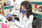 Envejecimiento, el reto de la investigación que inicia México