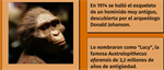 Día Mundial de la Evolución