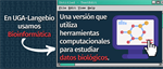 Día Mundial de la Informática