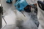 Estancias posdoctorales