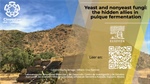 Yeast and nonyeast fungi: the hidden allies in pulque fermentation