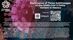 Dominance of Three Sublineages of the SARS-CoV-2 Delta Variant in Mexico