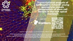 Transcriptional analysis of Ceratopteris richardii young sporophyte reveals conservation of stem cell factors in the root apical meristem