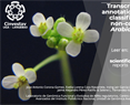 Transcriptome-guided annotation and functional classification of long non-coding RNAs in Arabidopsis thaliana