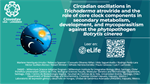 Circadian oscillations in Trichoderma atroviride and the role of core clock components in secondary metabolism, development, and mycoparasitism against the phytopathogen Botrytis cinerea