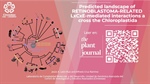 Predicted landscape of RETINOBLASTOMA-RELATED LxCxE-mediated interactions across the Chloroplastida