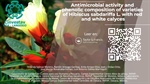 Antimicrobial activity and phenolic composition of varieties of Hibiscus sabdariffa L. with red and white calyces