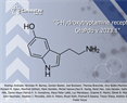 Carlos M. Villalon - 5-Hydroxytryptamine receptors in GtoPdb v.2023.1