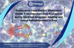 Luisa Rocha - Transcranial Focal Electric Stimulation Avoids P-Glycoprotein Over-Expression during Electrical Amygdala Kindling and Delays Epileptogenesis in Rats
