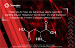 Mónica Lamas - Müller Glia to Müller Glia Extracellular Vesicle-Dependent Signaling Induces Multipotency Genes Nestin and lin28 Expression in Response to N-methyl-D-aspartate (NMDA) Exposure