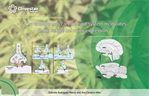 Gabriela Rodríguez Manzo - The endogenous cannabinoid system modulates male sexual behavior expression