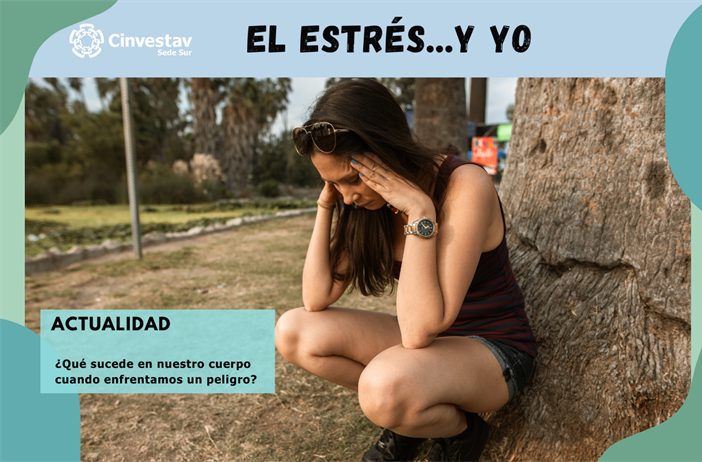 El estrés... y yo
