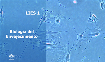 Biología del envejecimiento