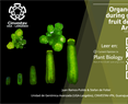 Organogenic events during gynoecium and fruit development in Arabidopsis