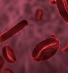 Miden coagulación de sangre con fibra óptica