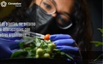 Las plantas, su entorno e interacciones con otros organismos