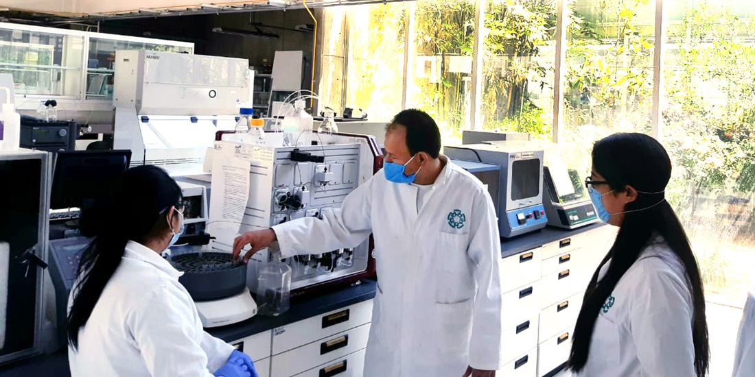Estudian la maquinaria de replicación del nuevo coronavirus