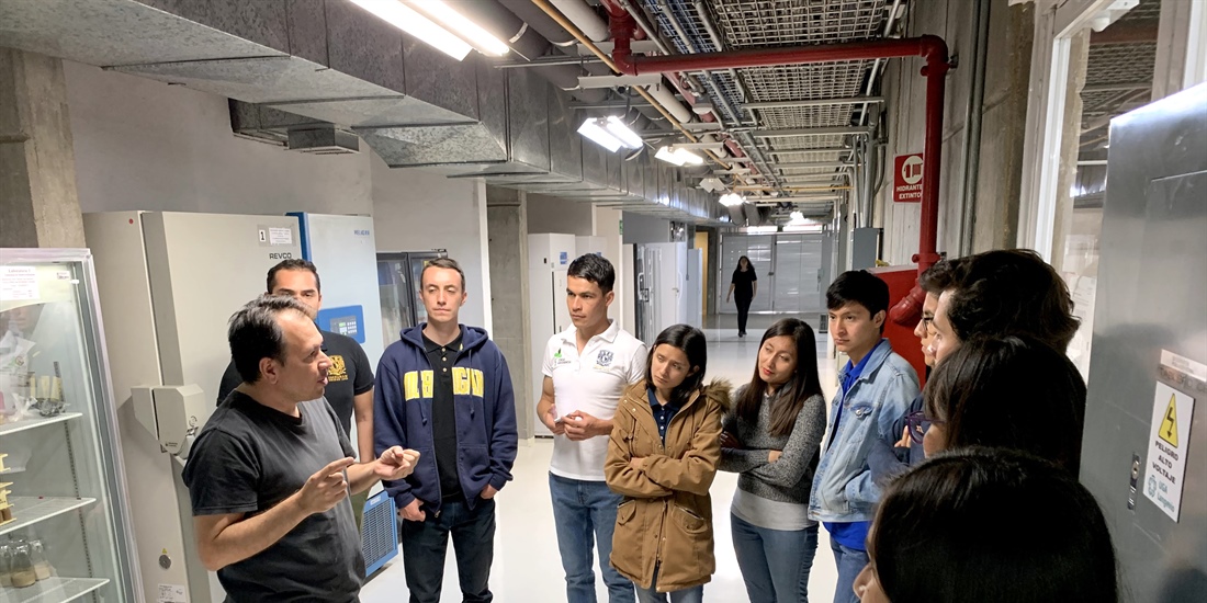 Con tira reactiva de aplicación personal buscan detectar SARS-CoV-2