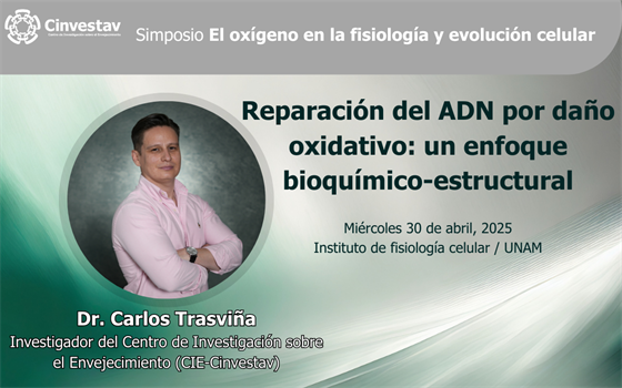 Participación del Dr. Carlos H. Trasviña en simposio del IFC-UNAM Banner