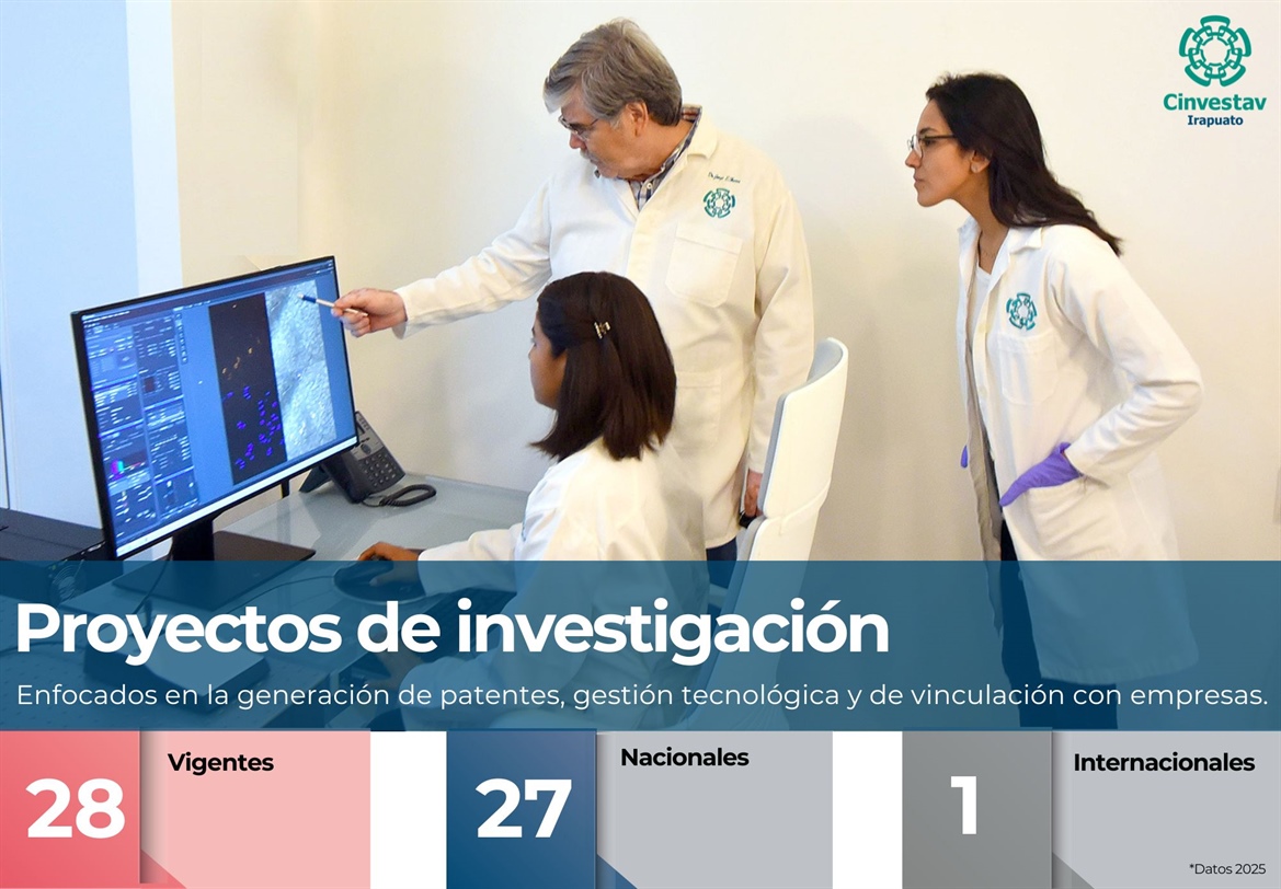 Proyectos de Investigación