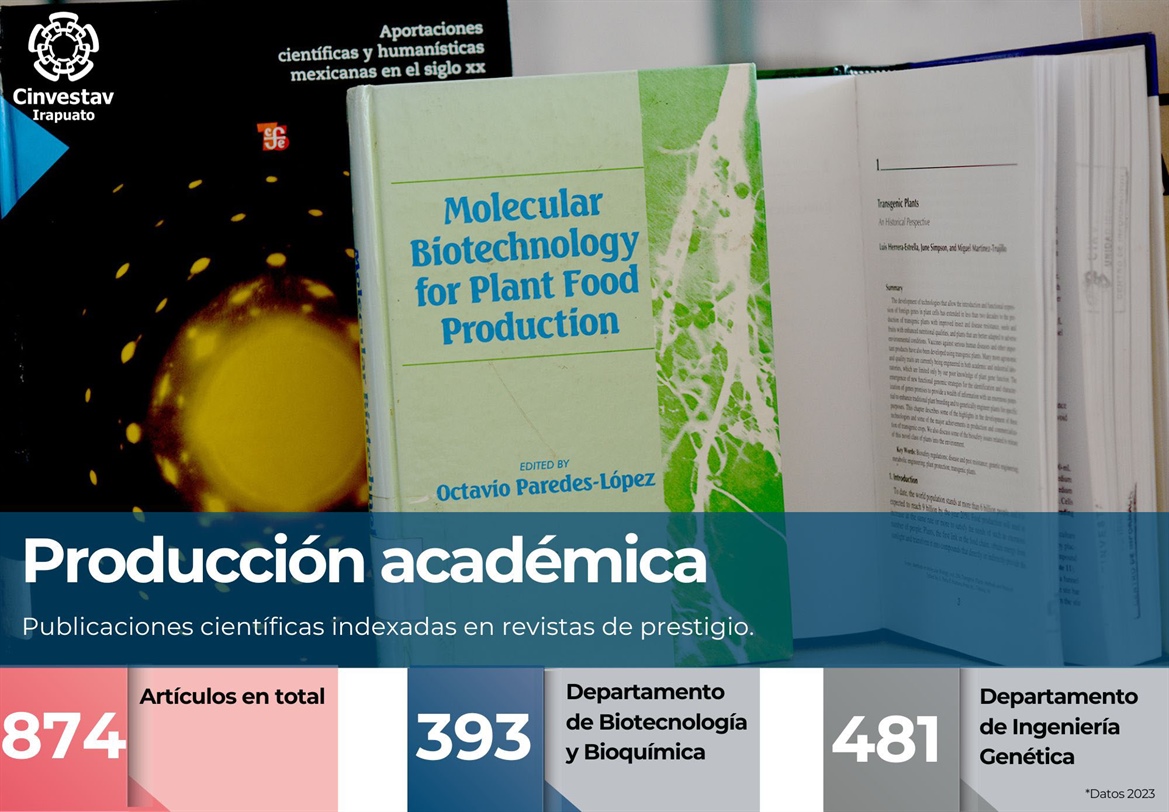 Producción Académica