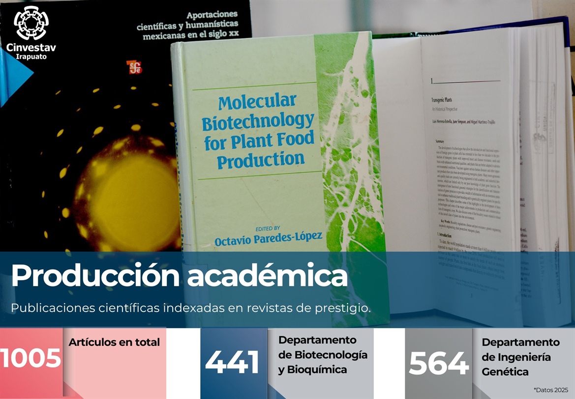 Producción Académica