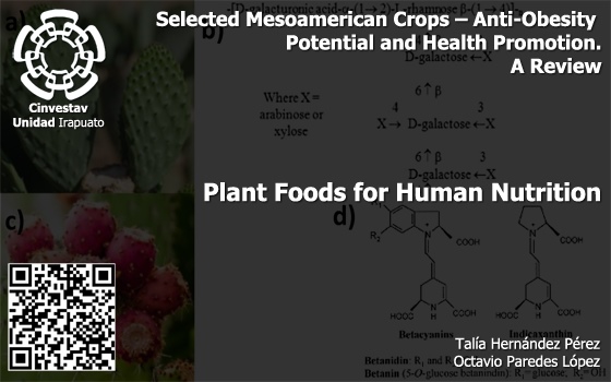 Selected Mesoamerican Crops – Anti-Obesity Potential and Health Promotion