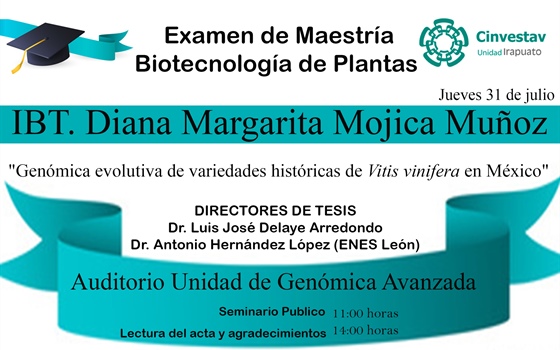 Examen de Maestría