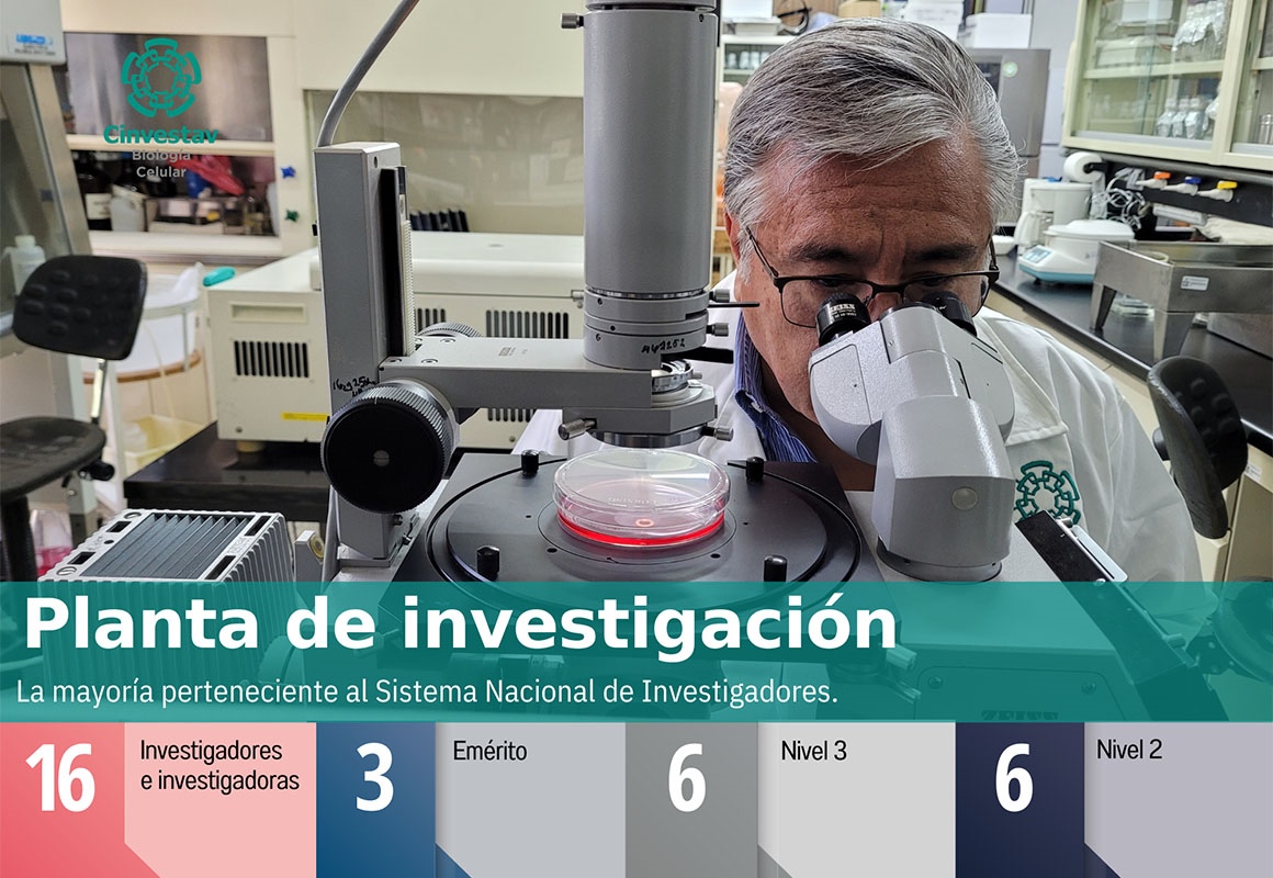 Indicadores - Planta de investigación