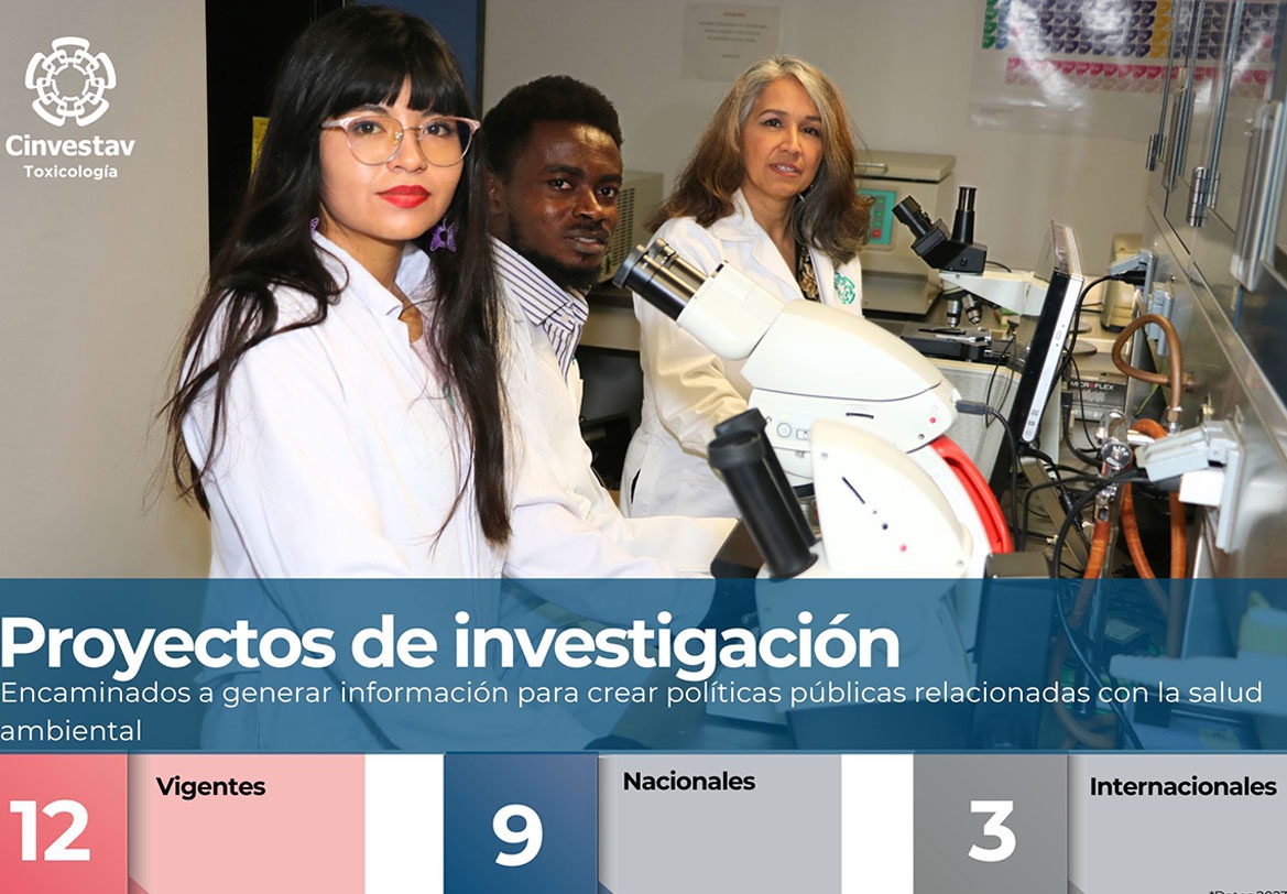 Indicadores-Proyectos de Investigación