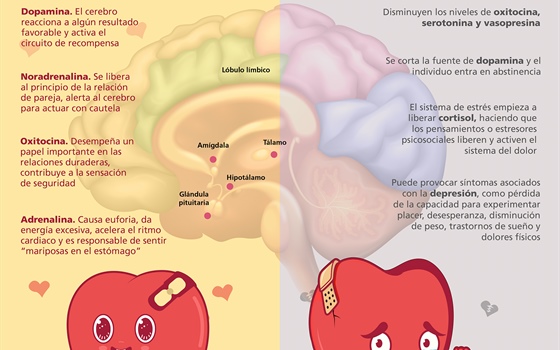 Amor vs desamor