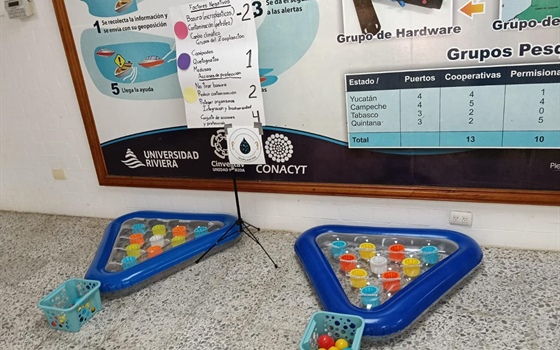 El mar bajo el microscopio