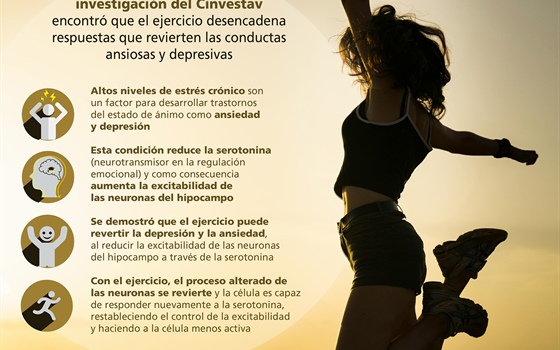Cuerpo en movimiento, cerebro sereno