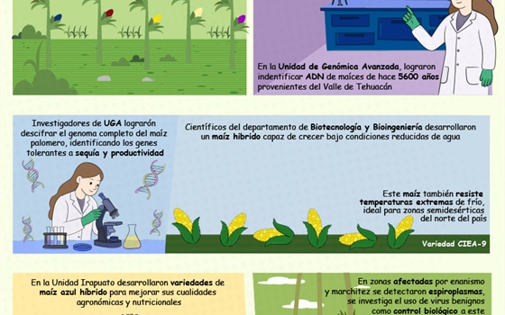 La ciencia del maíz