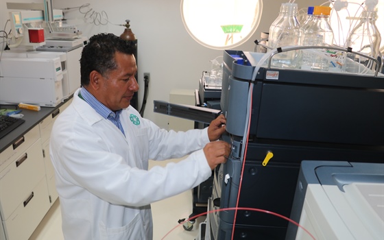 Desarrolla Cinvestav nueva metodología para identificar origen de la vainilla