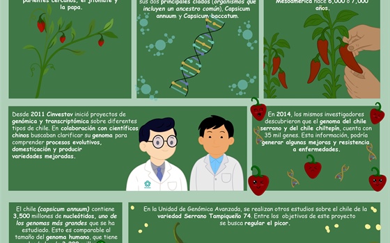 El poder del picante
