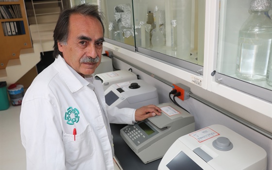 Desciframiento de genomas complejos como el del agave, limón y papaya