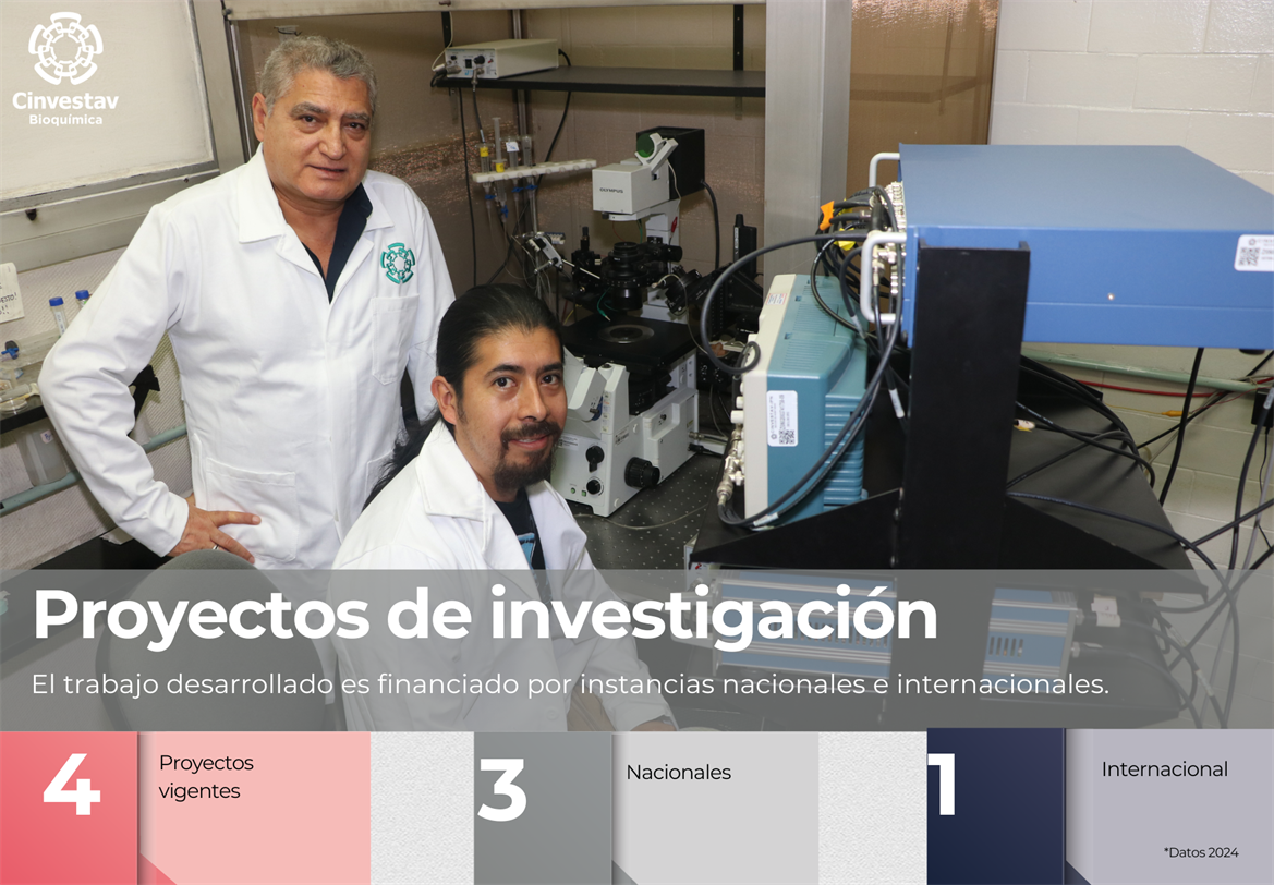 Indicadores - Proyectos de investigación