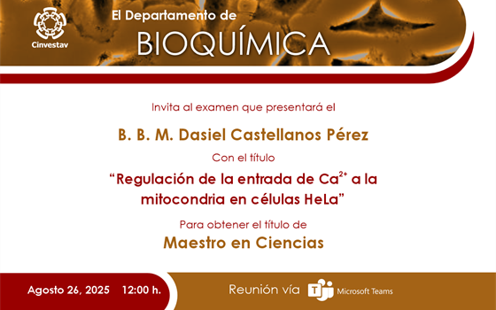 B. B. M. Dasiel Castellanos Pérez