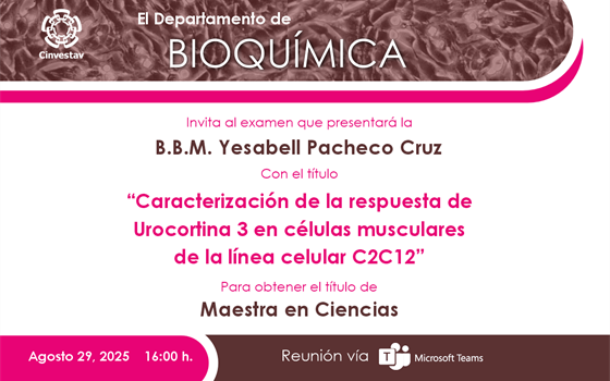 B.B.M. Yesabell Pacheco Cruz