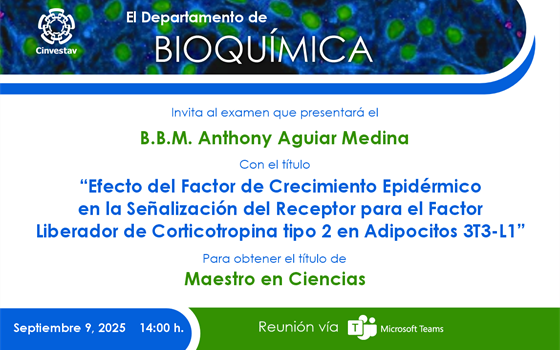 B.B.M. Anthony Aguiar Medina